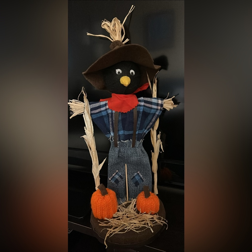 Homemade Scarecrow - Picture 2 of 4